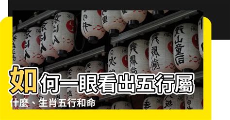 怎麼知道自己五行屬什麼|八字算命免費測八字，生辰八字五行查詢，測生辰八字五行缺補